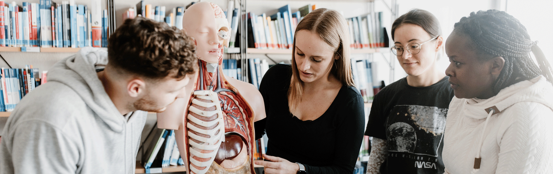 Vier Personen betrachten ein anatomisches Modell in einer Bücherei.