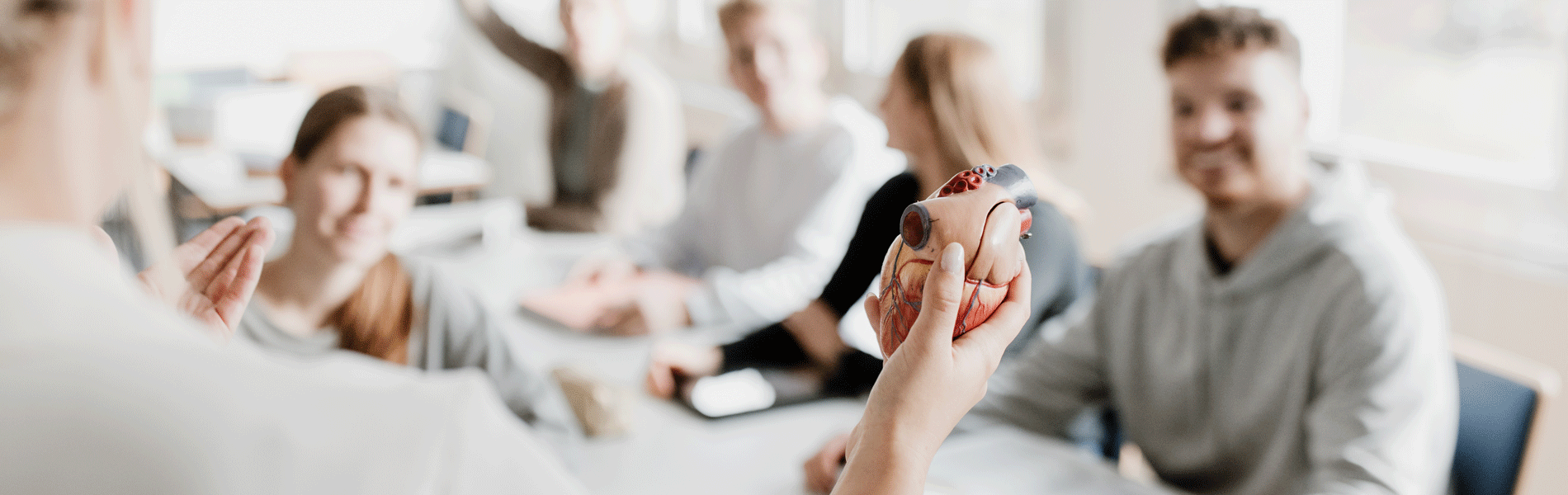 Eine Gruppe von Studierenden in einem Klassenzimmer betrachtet ein anatomisches Modell eines Herzens.