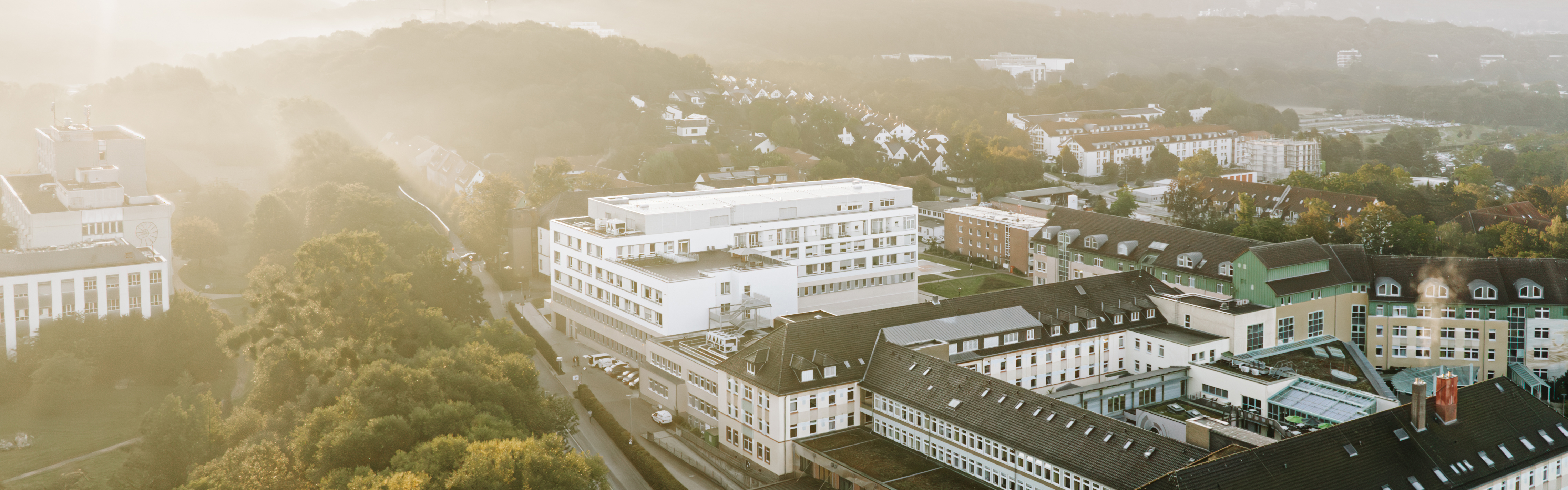Ein großes Gebäude in einer grünen, nebligen Umgebung mit mehreren Häusern im Hintergrund.