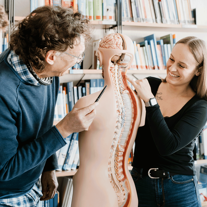 Zwei Personen studieren ein anatomisches Modell des menschlichen Rückens in einem Bücherregal.