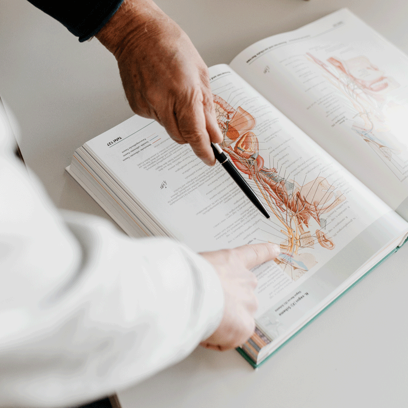 Zwei Personen zeigen mit einer Hand und einem Stift auf eine Abbildung in einem aufgeschlagenen Anatomiebuch.
