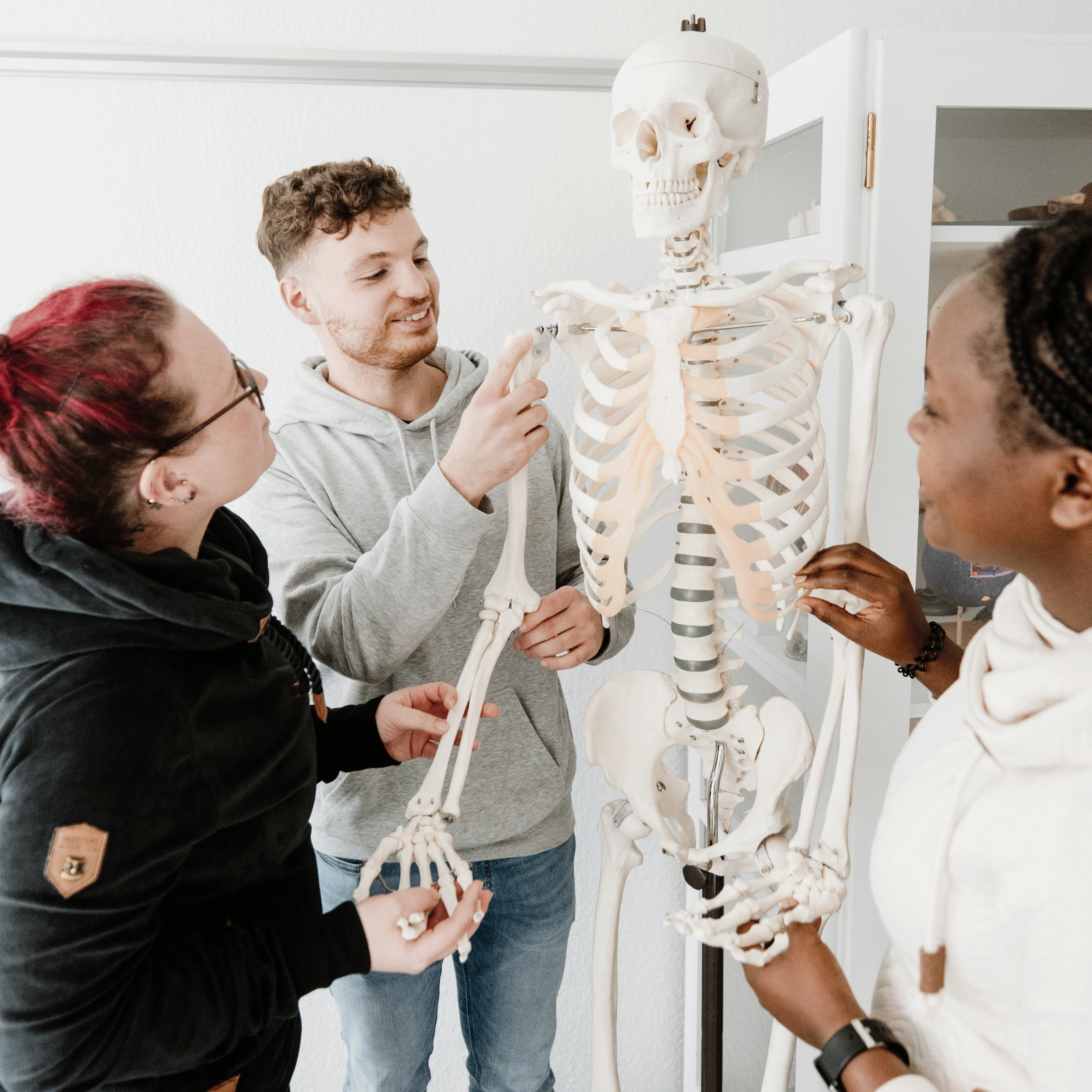 Drei Personen untersuchen ein menschliches Skelettmodell in einem Raum.