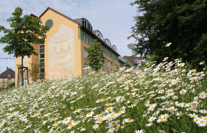Blumenwiese vor einem Gebäude mit Wandmalerei. Bäume flankieren das mehrstöckige, moderne Haus.