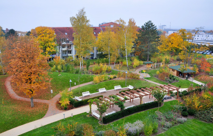 Ein herbstlicher Park mit Bäumen, Bänken, Laub, Wegen und einem Gebäude im Hintergrund.
